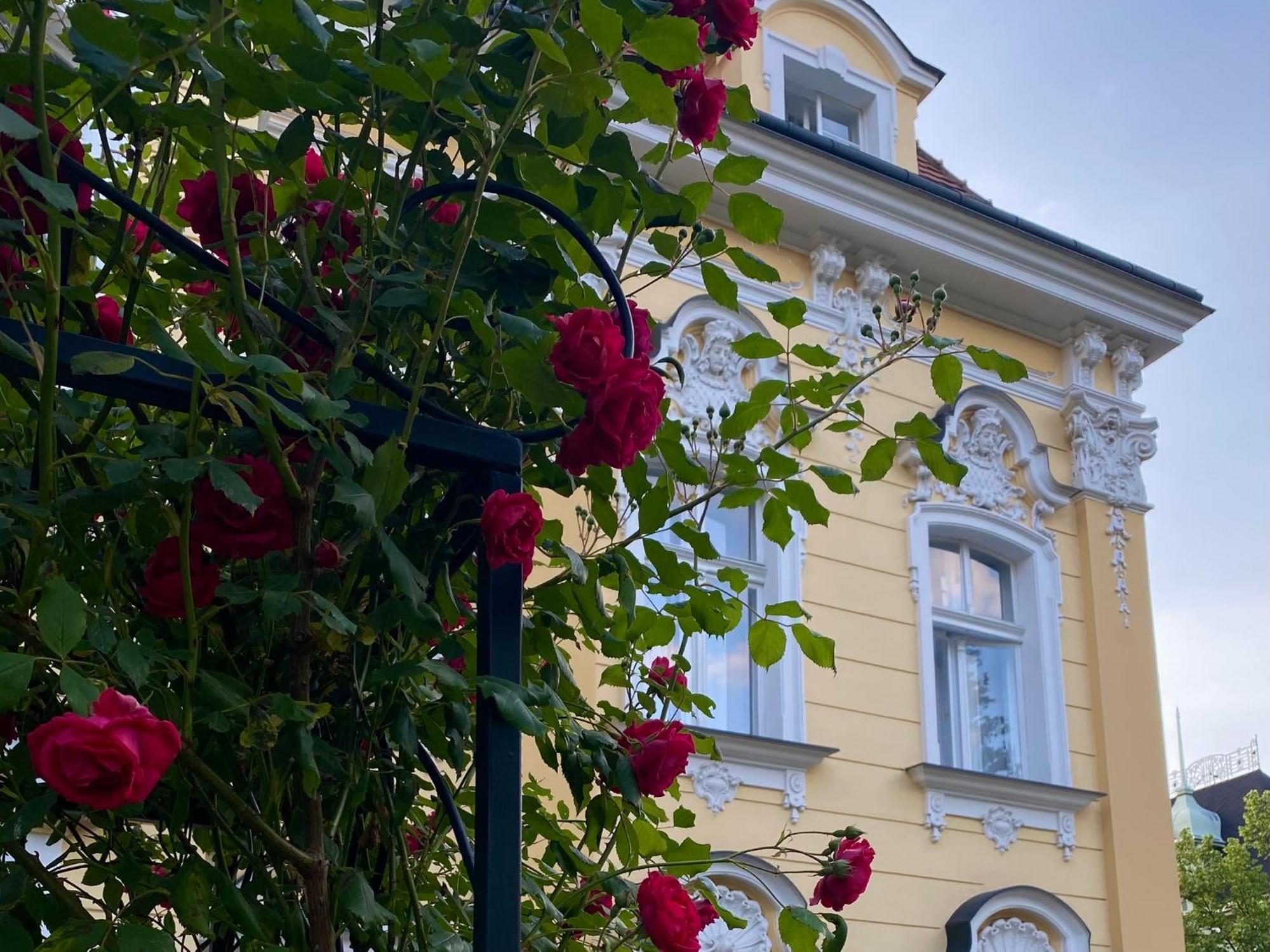 Salve Teplice Apartment Exterior photo